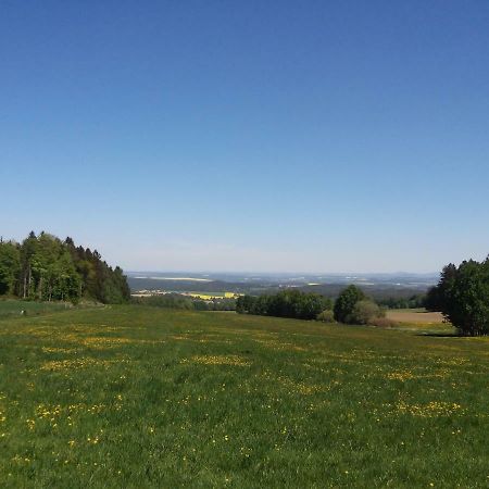 Ubytovani Ronsperk Poběžovice Kültér fotó